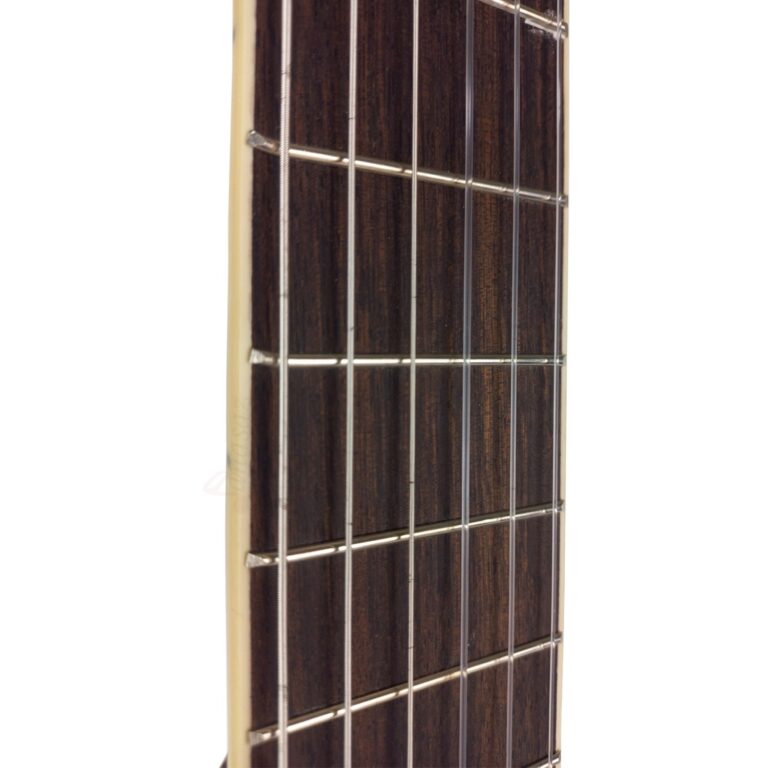 گیتار سانتانا مدل CG010