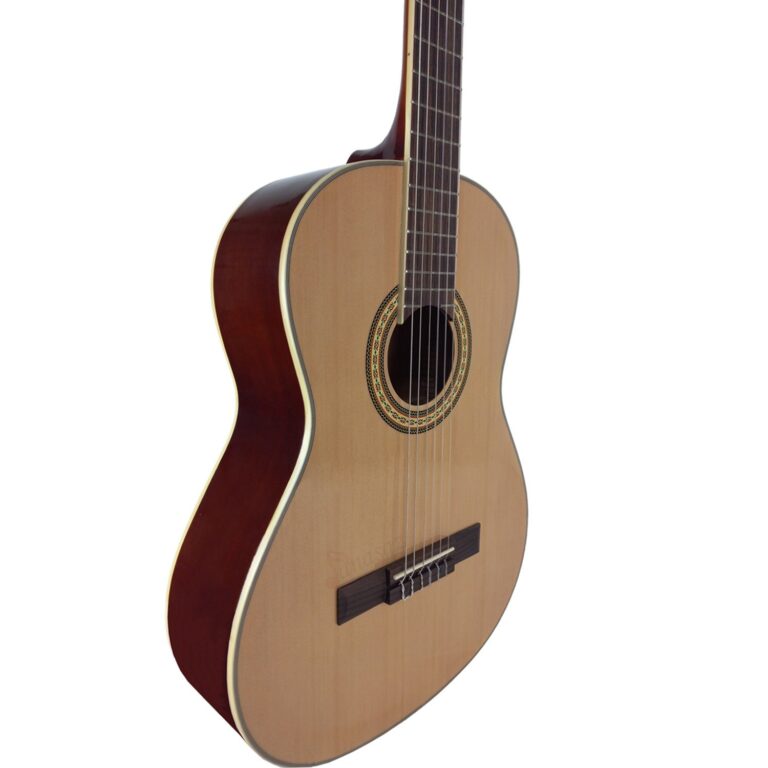 گیتار سانتانا مدل CG010