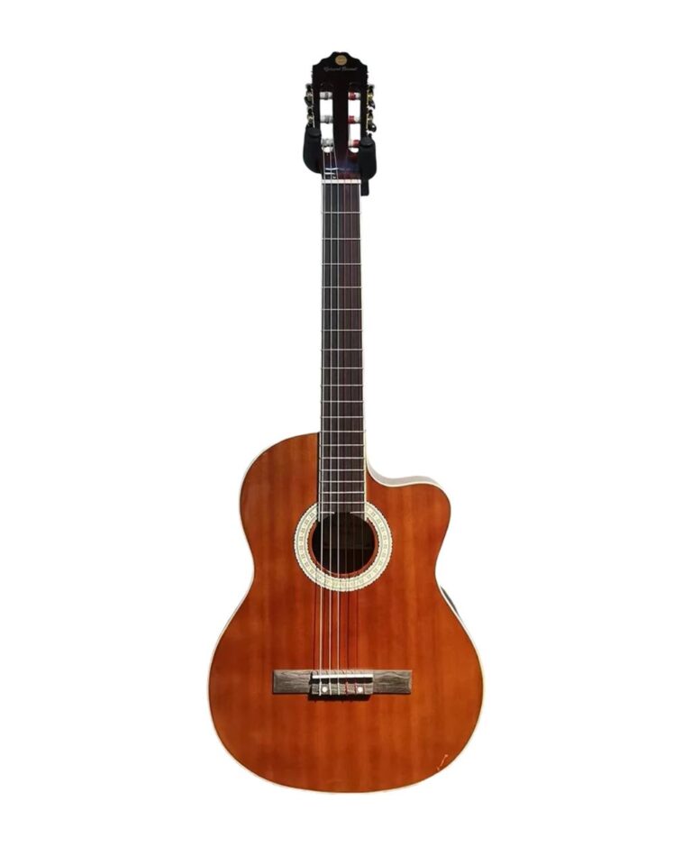 گیتار richard bounel