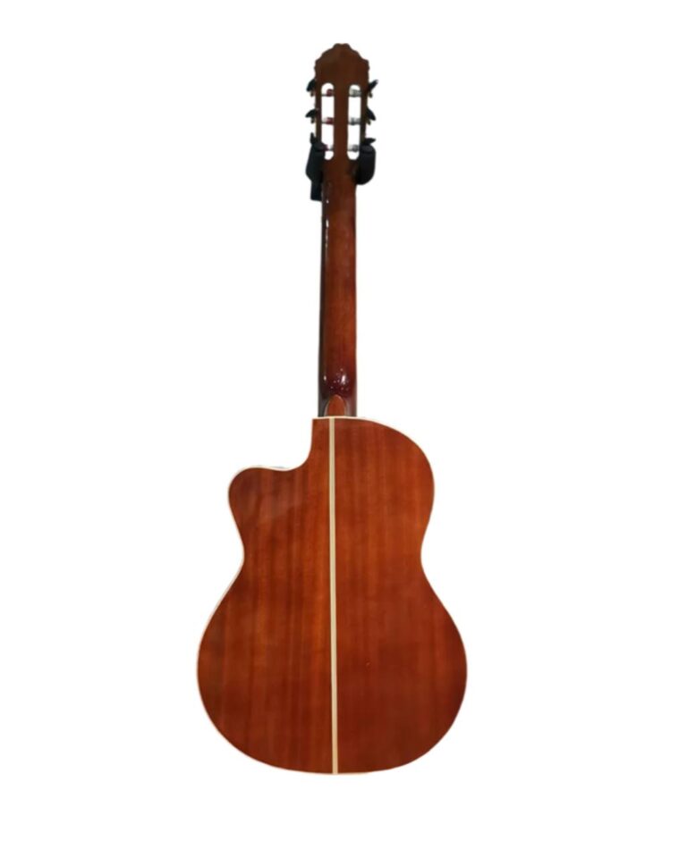 گیتار richard bounel