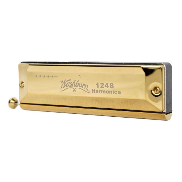 هارمونیکا washburn1248