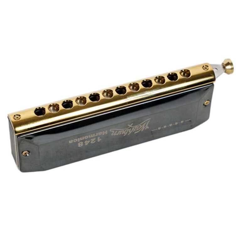 هارمونیکا washburn1248